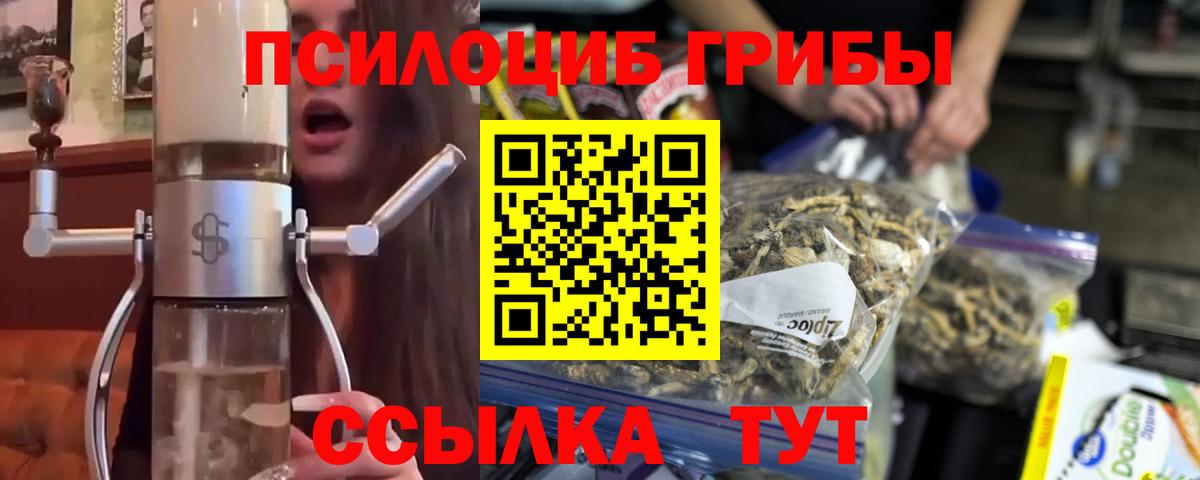 Канаш  Псилоцибиновые грибы Cubensis  Галлюциногенные грибы Psilocybine cubensis  Вход с VPN 